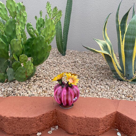 Handpainted Metal Mini Bisnaga Cactus Yard Art Garden Decor - Picture 8 of 14